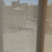IMG_20240411_174459