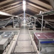 IMG_20240411_190052