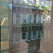 IMG_20240411_190355