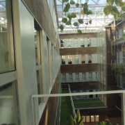 IMG_20240411_190918