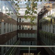 IMG_20240411_190932