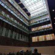 IMG_20240411_192828