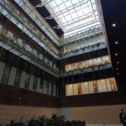 IMG_20240411_192848