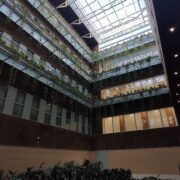 IMG_20240411_192850